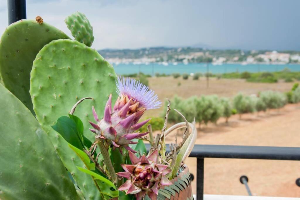 Villa Orange Tree à Porto Heli Extérieur photo