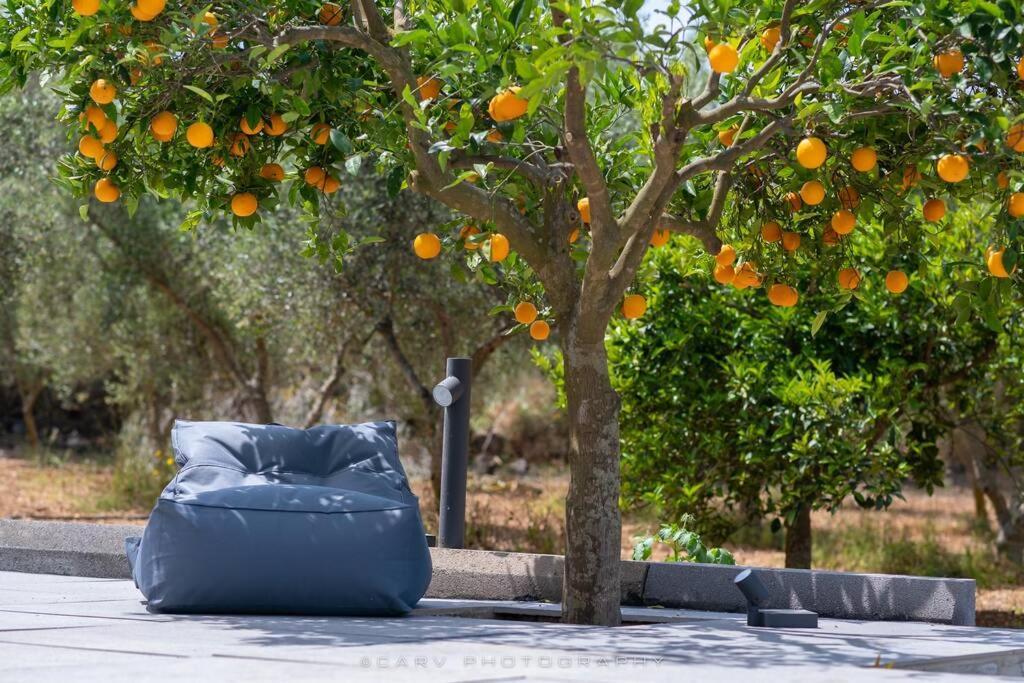 Villa Orange Tree à Porto Heli Extérieur photo